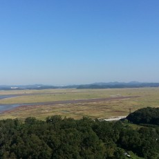 시화간척지 자연